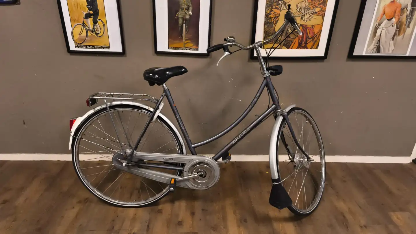 Batavus touring