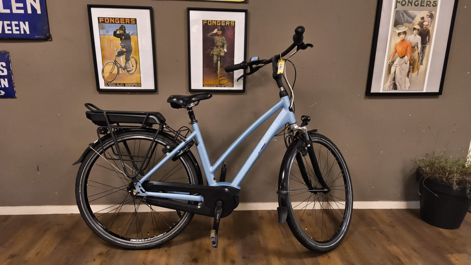 Gazelle Vento